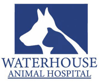 logo-waterhouse-animal-hospital